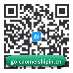 安卓抗崩溃专版 二维码