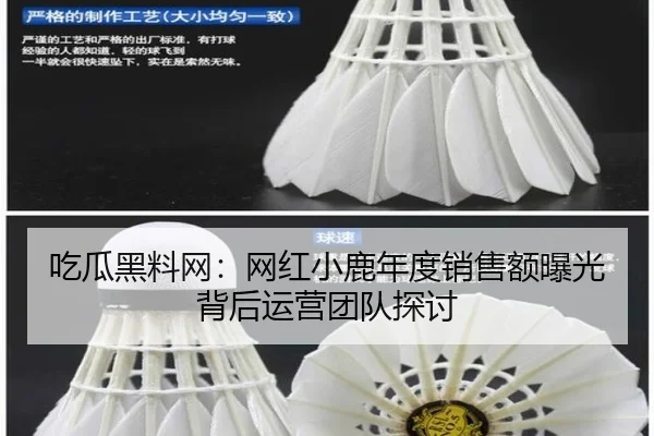 chi-gua-hei-liao-wang-wang-hong-xiao-lu-nian-du-xiao-shou-e-bao-guang-bei-hou-yun-ying-tuan-dui-tan-tao-2-432.jpg
